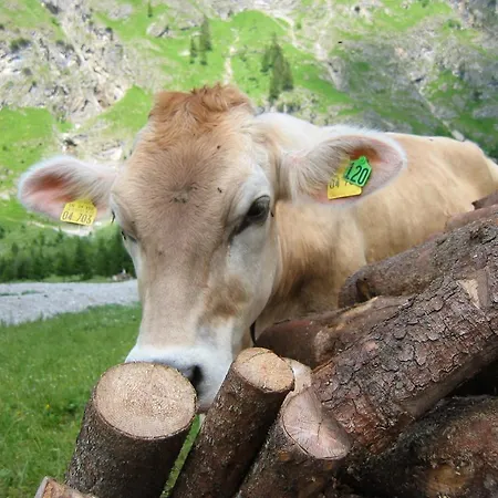 Haus Stein * Oberstdorf