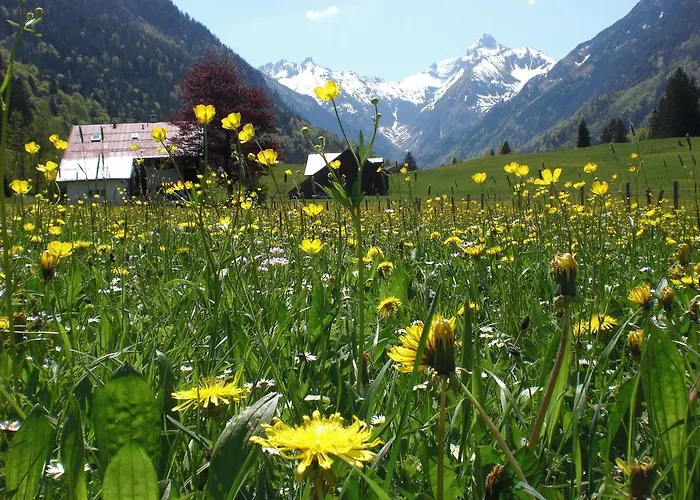 Haus Stein Lejlighed Oberstdorf