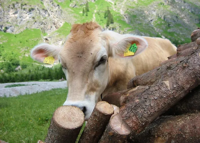 Haus Stein * Oberstdorf