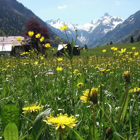Haus Stein Apartmán Oberstdorf
